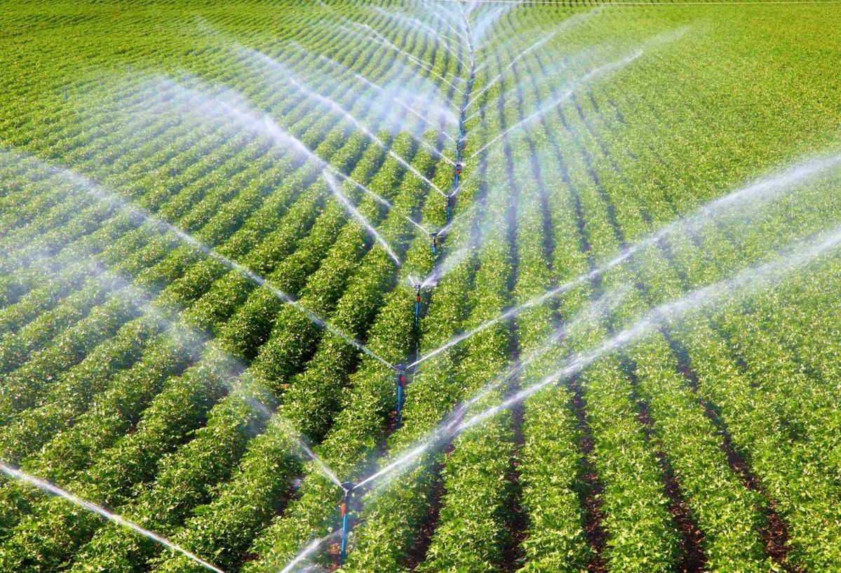 Irrigation Equipment Guide for Malawi: Pumps, Engines, and Getting Water Reliably to Your Crops